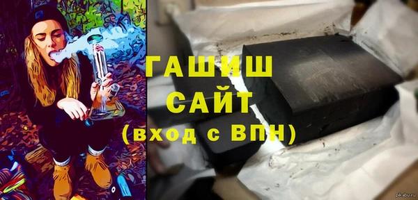 индика Новодвинск
