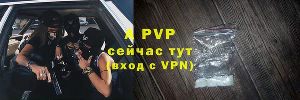 индика Новодвинск